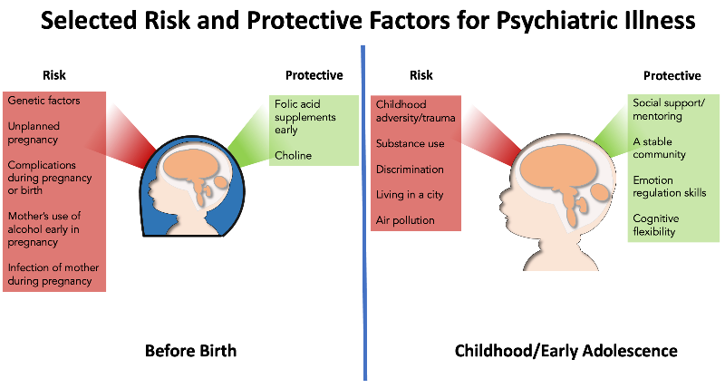 Subjects With A Serious Illness May Be At Risk Risk Factors for Serious Mental Illness: Not Just “What,” but “When